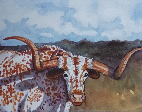 Close-up portrait of a longhorn looking at the camera