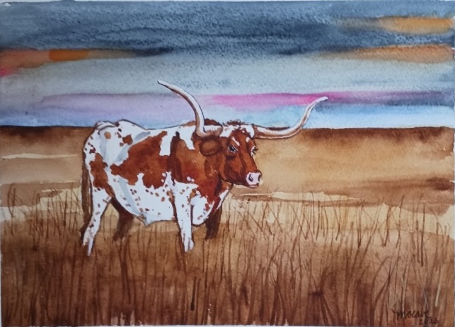 Longhorn at dusk on open Texas prairie